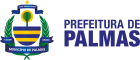 Palmas Cidadão